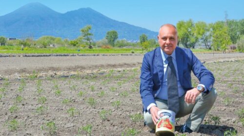 Nasce il San Marzano Village, l’Academy ne sarà il suo cuore pulsante
