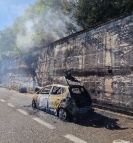 Paura sulla A2 del Mediterraneo: a fuoco auto Gpl: salvata famiglia di turisti