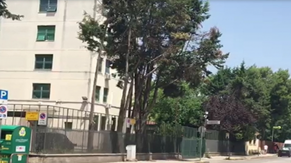 Bastonate alla compagna per soldi, arrestato 39enne straniero a Pontecagnano