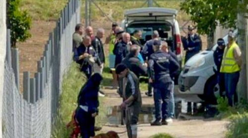 Bimbo ucciso dai pitbull a Eboli, c’è il processo