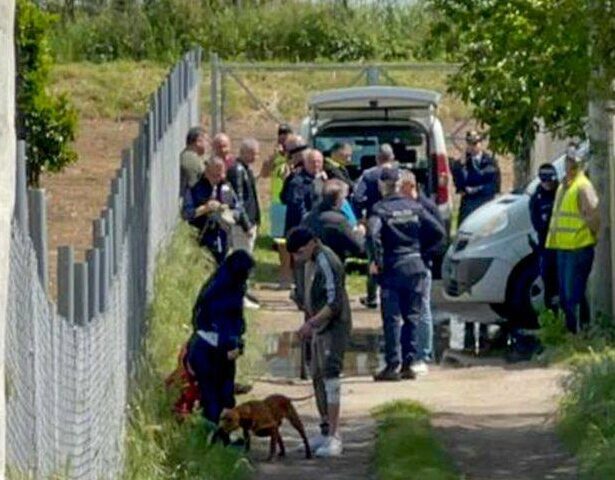 Bimbo ucciso dai pitbull a Eboli, c’è il processo