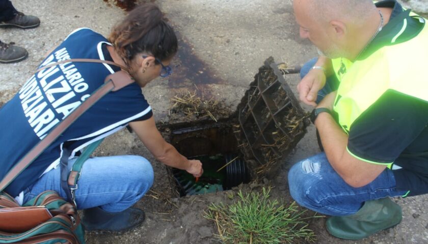 Capaccio Paestum, illecito smaltimento reflui: sequestrata azienda zootecnica