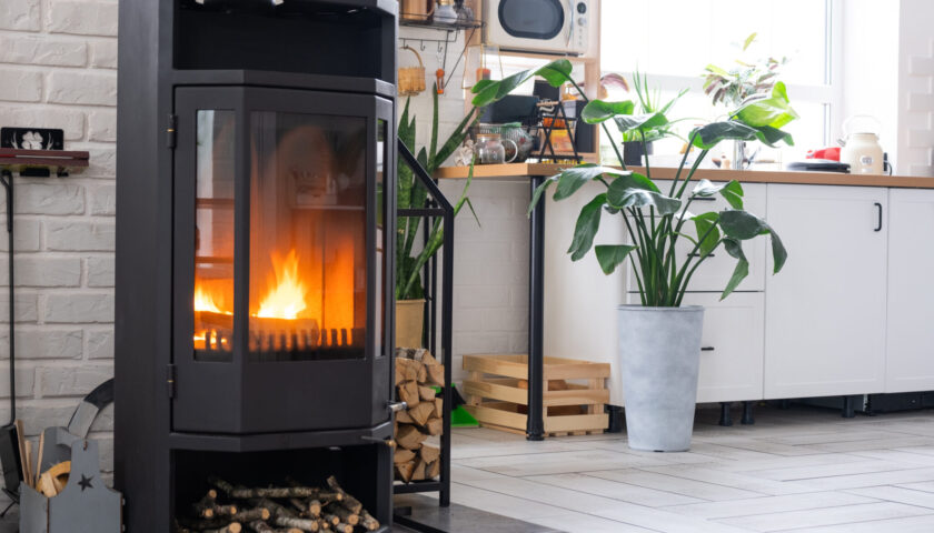 Stufe a Pellet o a Legna?