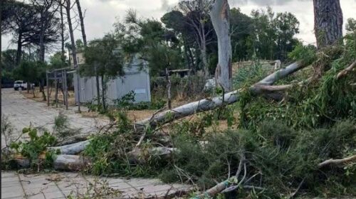 Capaccio Paestum: violenta tromba d’aria, danni e paura