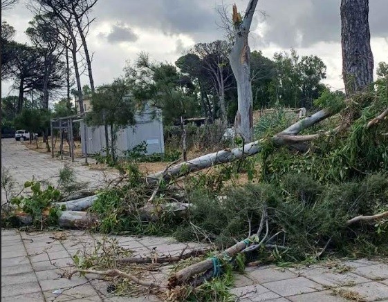 Capaccio Paestum: violenta tromba d’aria, danni e paura