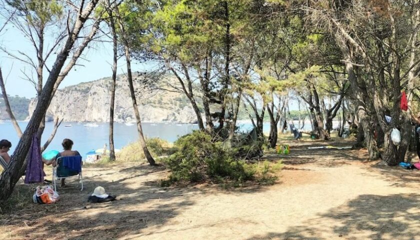 Camerota, smantellato un campeggio abusivo presso la spiaggia del Mingardo