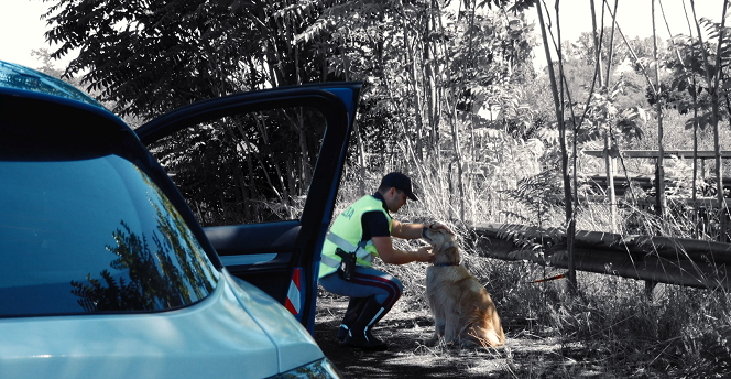 Estate in sicurezza, la Polizia di Stato al fianco dei cittadini in viaggio