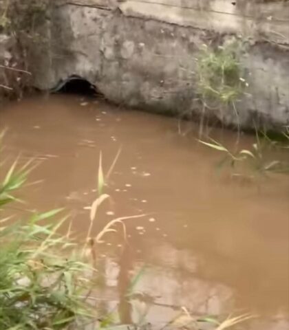 Scafati, Santocchio (Fdi) replica ad Aliberti: “Controllate tutte le aziende che sversano nel Sarno? E con quali uomini e risorse?”