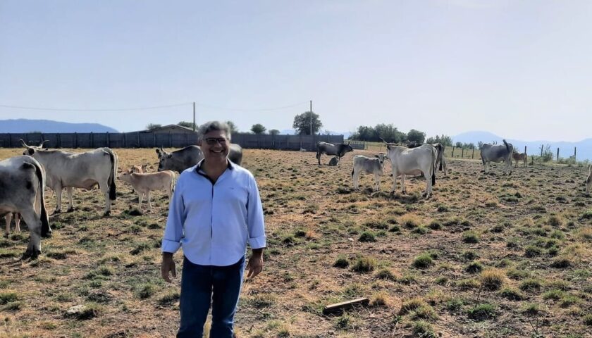 Campania, Vincenzo Peretti propone una legge sul clima