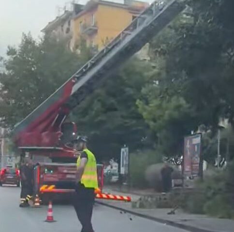 Salerno, gli alberi cadono anche senza vento