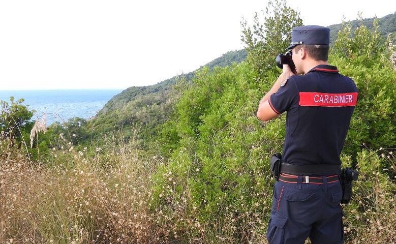 Ferragosto: i carabinieri forestali intensificano la vigilanza nelle aree del parci nazionale del Cilento, Diano e Alburni