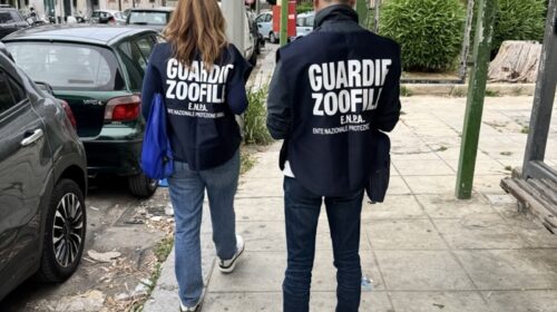 Salerno, l’Enpa continua con impegno la vigilanza nella provincia Sud