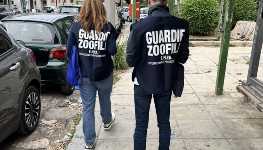 Salerno, l’Enpa continua con impegno la vigilanza nella provincia Sud