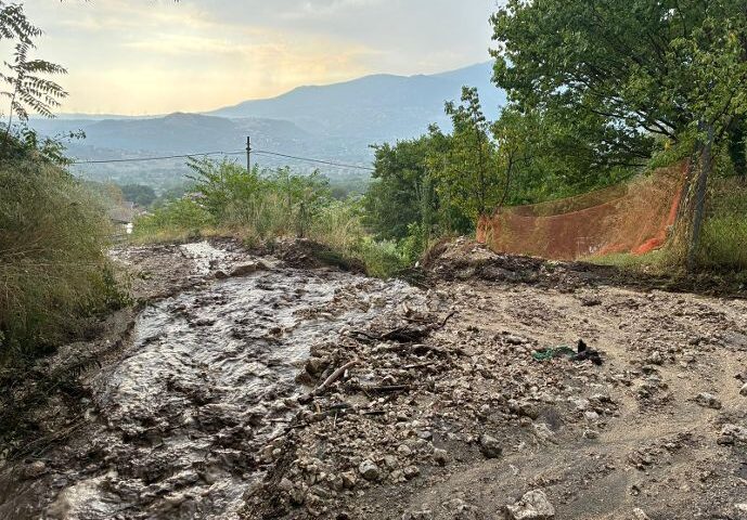 Maltempo, Aic Campania lancia l’SOS olivicoltura e viticoltura nel salernitano –“colture a rischio, necessarie segnalazioni danni”.