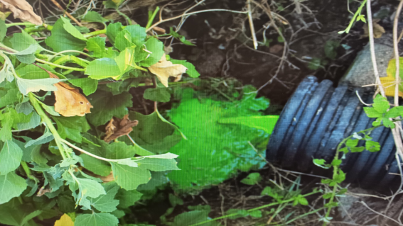 Capaccio Paestum, sversamento illecito di rifiuti: denunciati due imprenditori