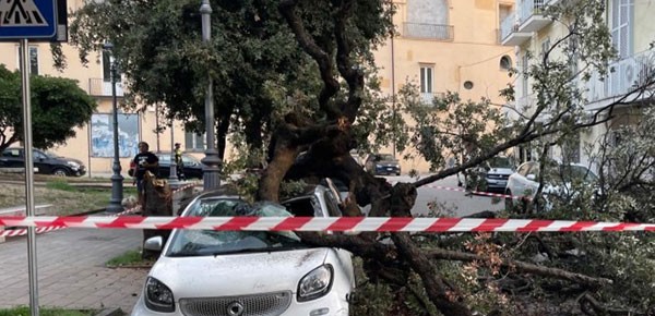Salerno, albero caduto nei pressi della Villa Comunale: paura e tragedia sfiorata