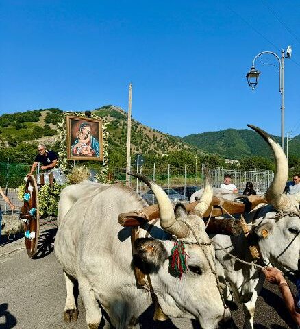 Baronissi, il carro della Madonna delle Grazie diventa Patrimonio Immateriale della Regione. La sindaca: riconoscimento per Sava