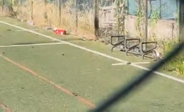 Salerno, Europa Verde denuncia degrado a Mariconda