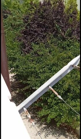 Salerno, Largo Menna trasformato in giungla: “L’assessore vada via”