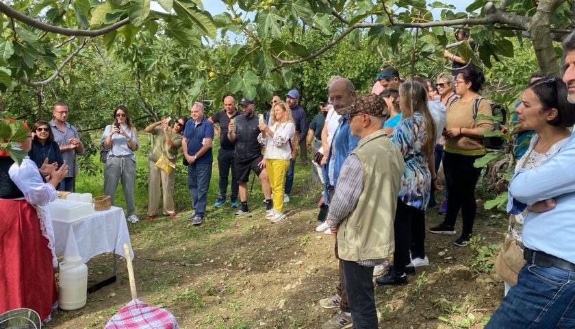 Ottati celebra il fico bianco del Cilento: terza edizione di “Ficus in Tabula”