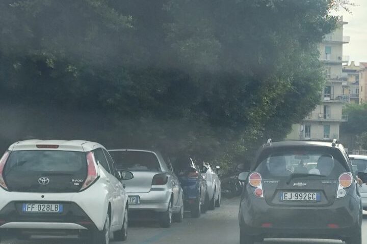 Verde pubblico a Salerno, i residenti di Pastena e Torrione contro l’assessore Natella