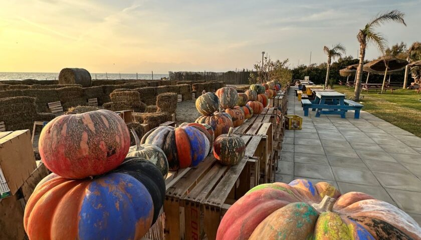 Pontecagnano Faiano, autunno caldo con l’edizione di “Zukk’e”