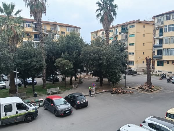 Salerno, inizio abbattimento alberature dichiarate a rischio