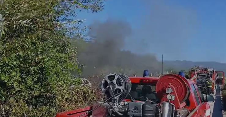 Polla, a fuoco due auto dismesse: si indaga