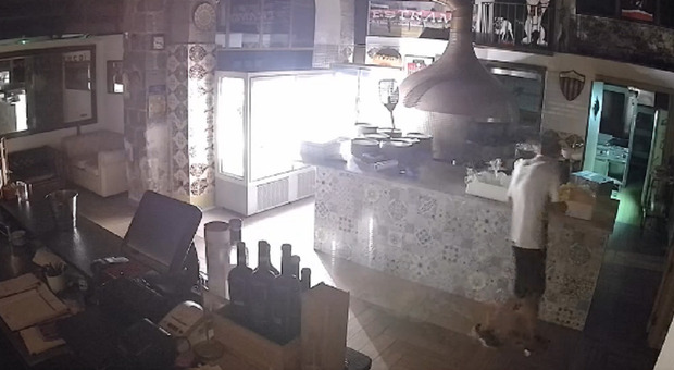 Ladro in Braseria a Nocera Inferiore, non trova soldi e porta via buste di mozzarella
