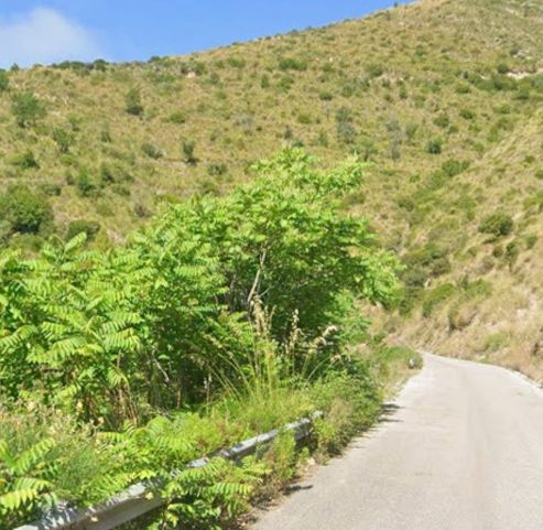 Strada Provinciale 94 in balia del degrado, Tommasetti: “La Provincia intervenga”