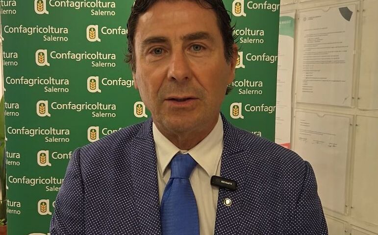 Confagricoltura Salerno: “Servono scelte coraggiose nella prossima legge di bilancio”