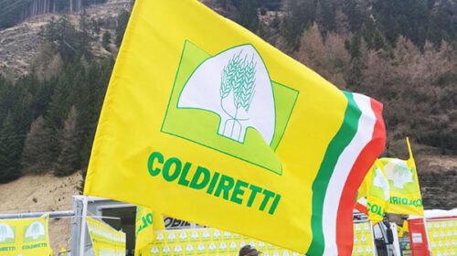 Coldiretti Pesca Campania, nasce la Consulta Regionale per la Pesca Marittima Coldiretti Pesca Campania, nasce la Consulta Regionale per la Pesca Marittima