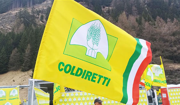 Coldiretti Salerno: domani rinnovo delle cariche i nuovi membri per “Coldiretti Giovani Impresa” e “Coldiretti Donne”