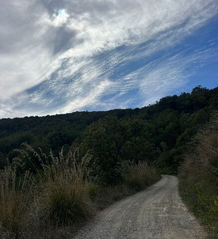 Pollica, finanziato il primo lotto della strada provinciale Celso/Casal Velino