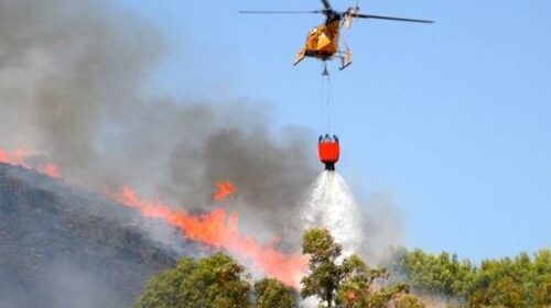 INCENDI, LA PROTEZIONE CIVILE REGIONE CAMPANIA ATTIVA DOS E VOLONTARI. ASSESSORA ZABATTA: “IMPORTANTE SEGNALARE LA PRESENZA DI ROGHI”