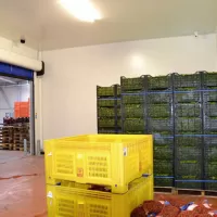 Capaccio Paestum, furti e danni al mercato ortofrutticolo: 7 attività nel mirino dei ladri