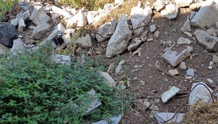 Capaccio, smaltimento illecito di rifiuti speciali: denunciato in procura a Salerno titolare di azienda bufalina