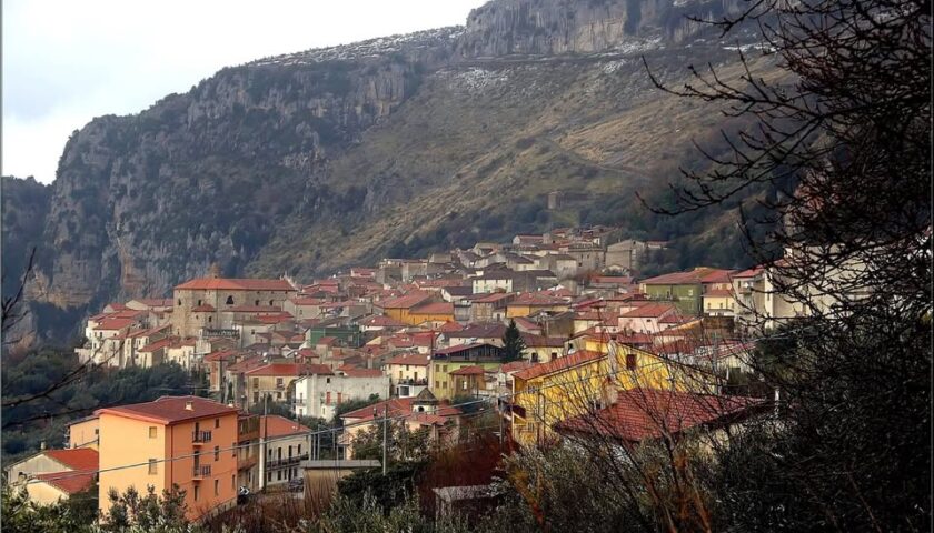 Emergenza cinghiali a Sacco: il Comune sollecita interventi urgenti