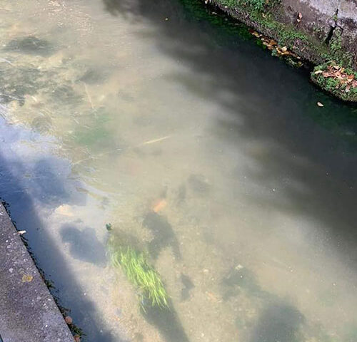 Fiume Sarno, stretta delle Procure: nuovo impulso alle indagini sull’inquinamento