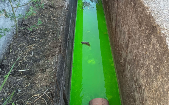 Capaccio Paestum, smaltimento illecito percolati zootecnici: denunciati 3 imprenditori