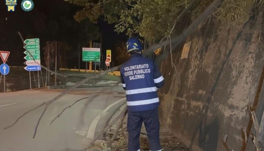Controllo del territorio a Salerno durante l’allerta vento: l’impegno dei Volontari Verdi Pubblici e Torrione Eventi Aps