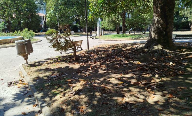 Anziano pestato in villa comunale a Cava de’ Tirreni, arrestato 48enne