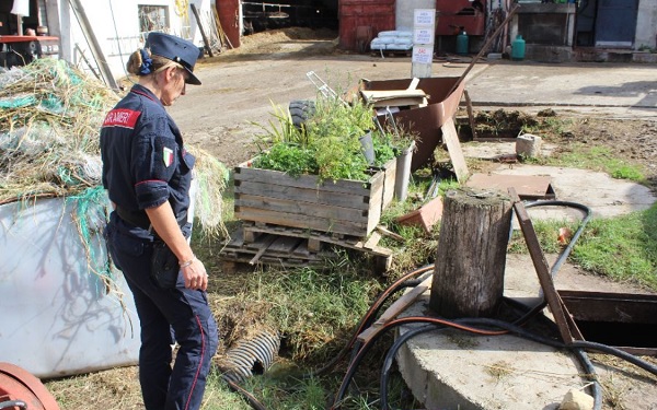 Albanella: Carabinieri Forestali e Guardie AK denunciano imprenditore per illecito smaltimento rifiuti
