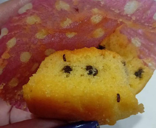 Pontecagnano, insetti nel muffin del servizio mensa a scuola: monta la protesta