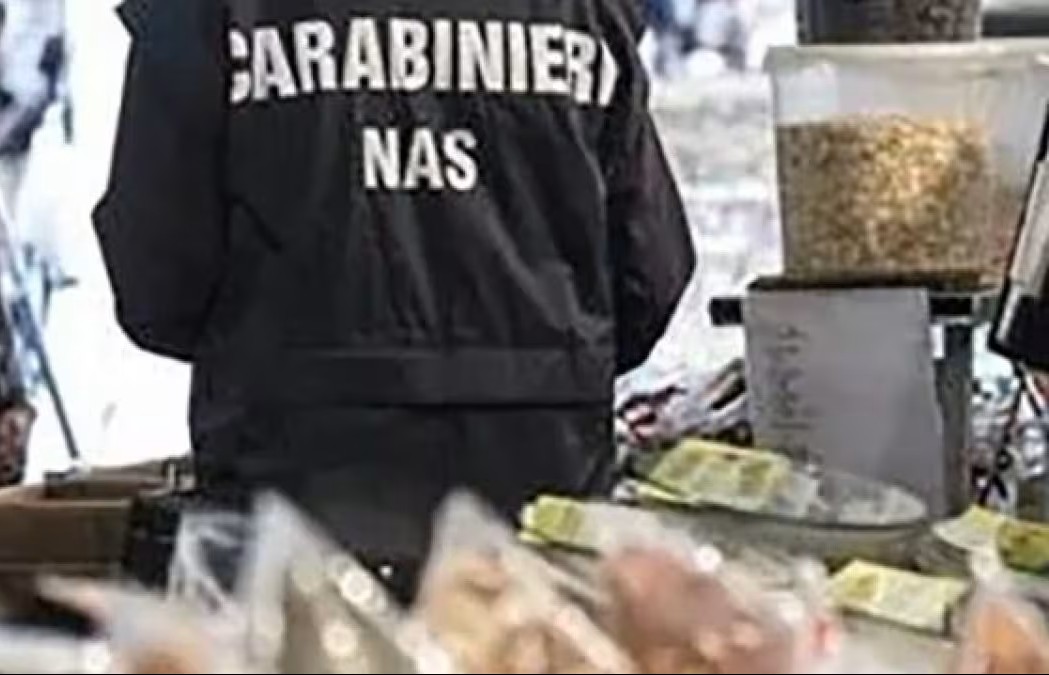 Salerno e Provincia, controlli del Nas: sospensioni e sequestri di alimenti