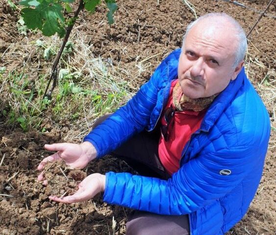 Lutto a Tramonti e in Costiera Amalfitana per la scomparsa di Gaetano Bove, grande viticoltore della Costa d’Amalfi