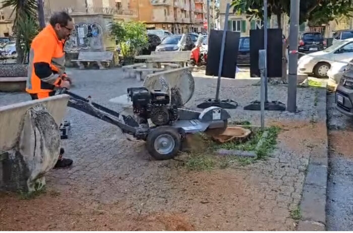 Salerno, piantumazione alberi: riparte il progetto con 200 nuove piante
