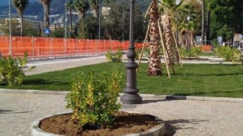 Box non realizzati in piazza Cavour, il perito: “Il Comune deve risarcire 1,5 milioni ai privati” Box non realizzati in piazza Cavour, il perito: “Il Comune deve risarcire 1,5 milioni ai privati”