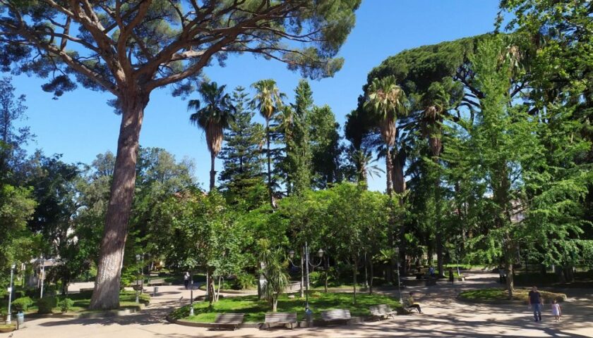 Angri,  festa dell’Albero in piazza Doria: titolo alle piante “ultracentenarie”: