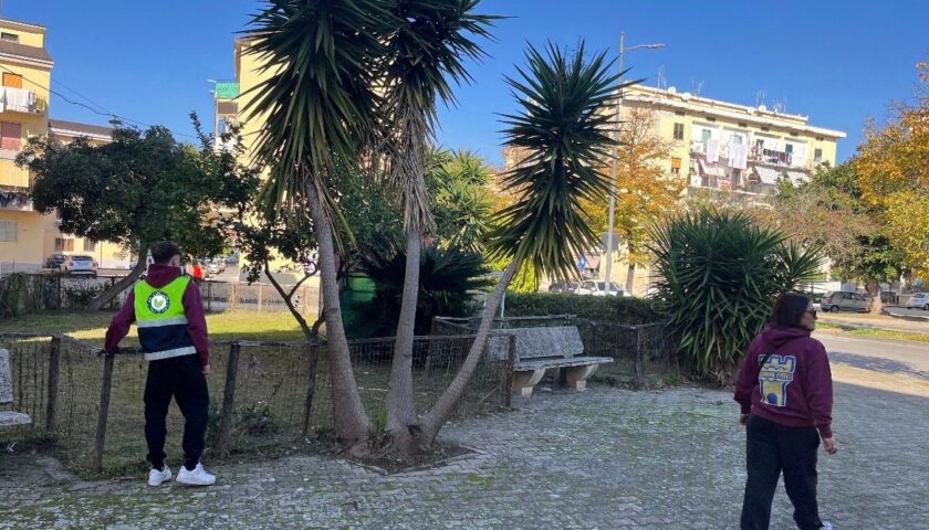 Volontariato Verde Pubblico Salerno Odv Sopralluoghi e nuovi progetti per riqualificare i quartieri della città